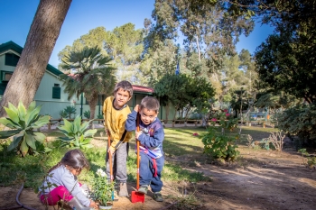 פעילות ט"ו בשבט בצריף בן גוריון- אתר לגדול 